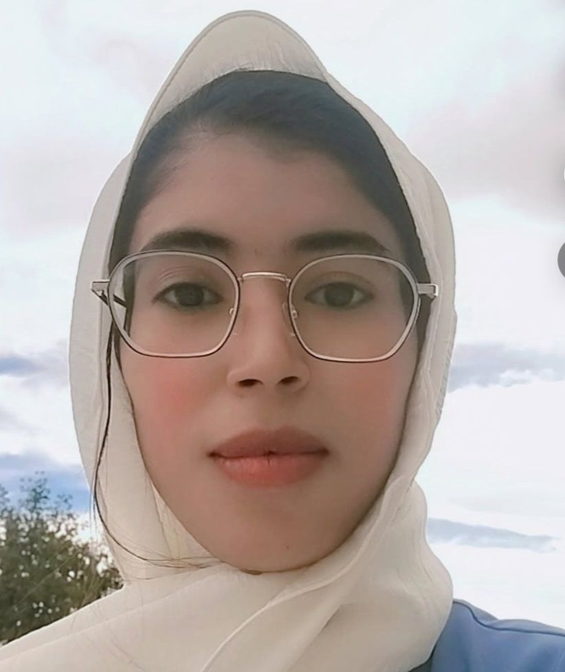 Rabiha Noor Rabiha Noor