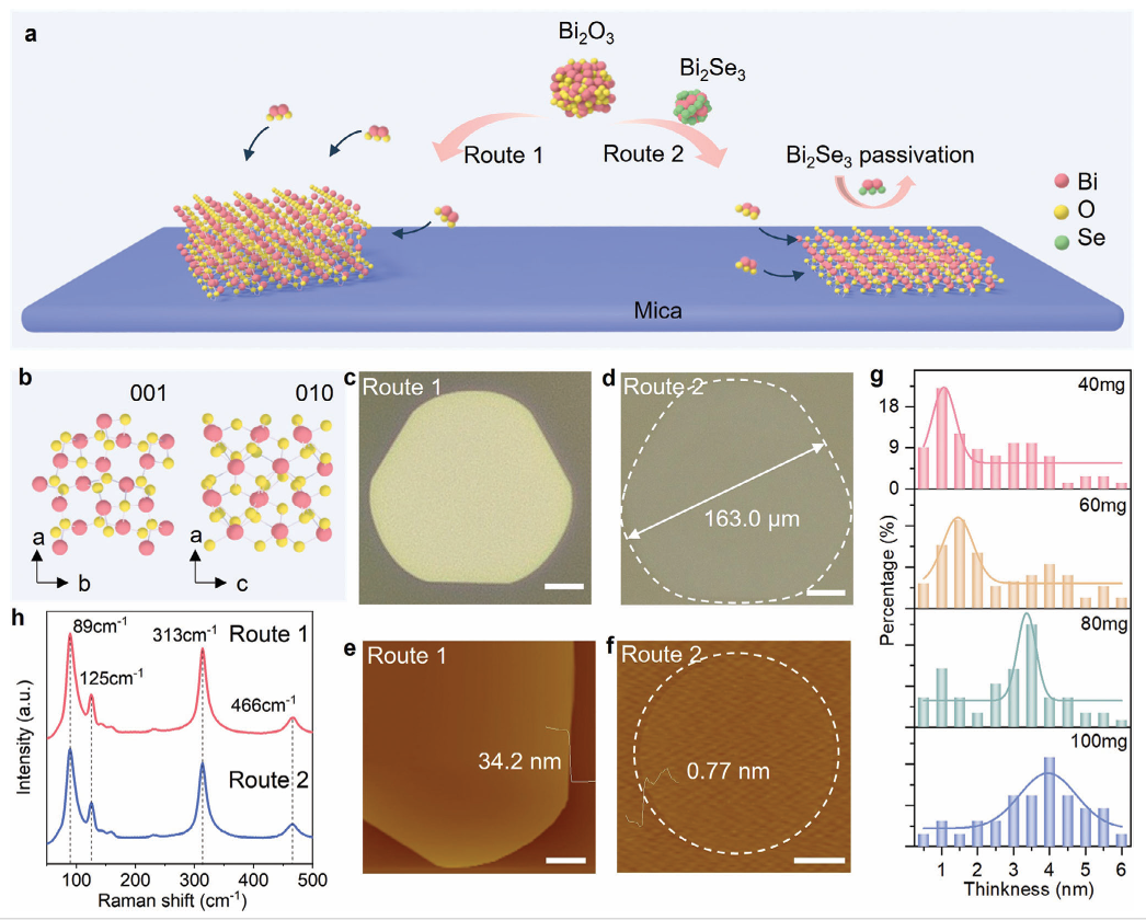 天津大学耿德超研究团队Adv. Mater.:二维超薄β-Bi2O3晶体的表面辅助钝化生长及高性能极化敏感光电探测器研究取得重要进展-天津市 ...